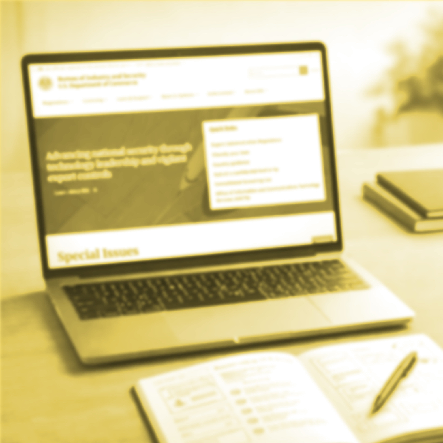 BIS Website Modernization project